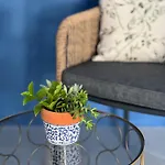 Seahorse 卡萨米尔