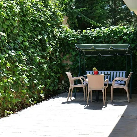 Seahorse קסאמיל