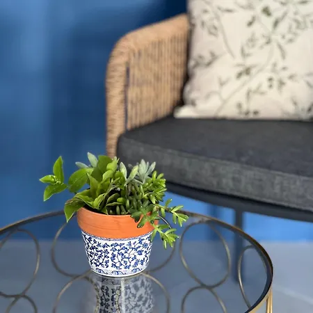 Seahorse קסאמיל